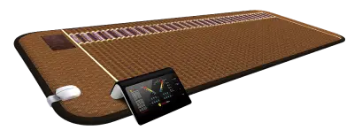 Amethyst Bio-Mat Professional 220V - With Professional Discount